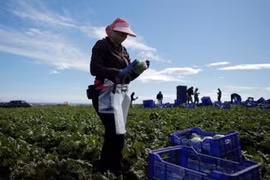 Vietnam presta atención especial a los migrantes