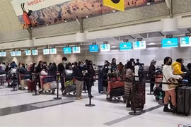 Repatrian a 350 ciudadanos vietnamitas desde Canadá en medio del COVID-19