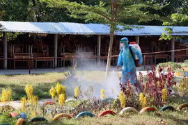 Vietnam reporta otros 16 casos nuevos de COVID-19