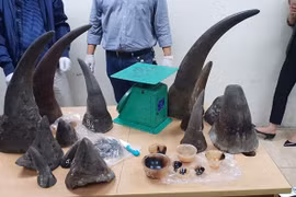 Condenan a cinco años de prisión a traficante vietnamita de cuernos de rinoceronte
