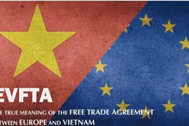 Intensificará Vietnam divulgación de informaciones sobre EVFTA a empresas