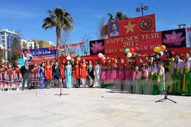 Festejan vietnamitas en Chipre el Tet tradicional