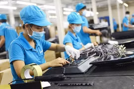 Destacan electores vietnamitas desarrollo económico en medio de incertidumbre global por el COVID- 19