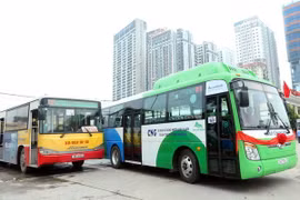 Hanoi por ofrecer servicios gratuitos de ómnibus para personas discapacitadas