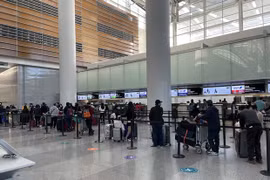 Regresan a tierra natal más de 340 ciudadanos vietnamitas en Japón