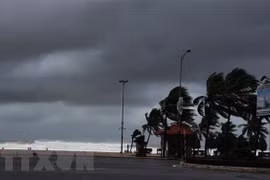 Exhortan a provincias centrales de Vietnam a prepararse ante el super tifón Goni