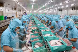 Sector acuícola de Vietnam enfrenta dificultades por COVID-19