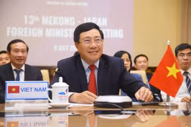 Países de Mekong y Japón refuerzan cooperación contra COVID- 19