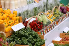 Índice de Precios al Consumidor de Vietnam disminuye en abril