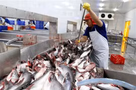 Doce empresas vietnamitas autorizadas a reexportar mariscos a Arabia Saudita