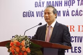 Vietnam y países africanos de habla francesa por ampliar la cooperación