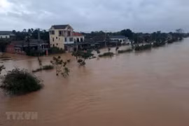 Organismos internacionales ayudan a pobladores vietnamitas afectados por inundaciones