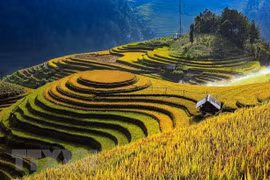 Promueve Vietnam Premio fotográfico “Heritage - Viaje patrimonial” 2020