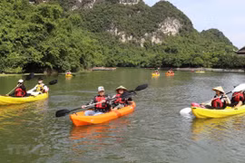 Lanza provincia vietnamita de Ninh Binh servicios turísticos de kayak en Trang An