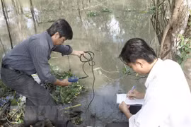Pronostican empeoramiento de salinización en provincias de Delta del Mekong 