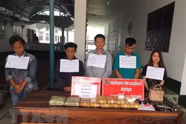 Provincias vietnamita y laosiana neutralizan red de narcotráfico transfronterizo