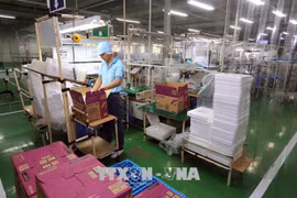 Provincia vietnamita de Dong Nai supera el plan de atracción de IED en 2020