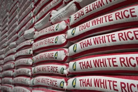 Tailandia aprueba el esquema de garantía del precio del arroz para 2020-2021