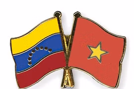 Presentación de nueva directiva de Casa de Amistad Venezuela-Vietnam