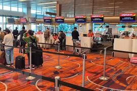 Repatrían a más de 230 ciudadanos vietnamitas en Singapur