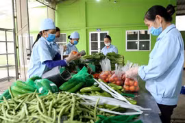 Provincia vietnamita verifica información de prohibición de productos agrícolas de Camboya