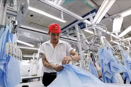 Vietnam por desarrollar economía marítima con medidas coordinadas