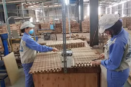Empresas madereras de Vietnam logran sobrevivir en medio del COVID-19