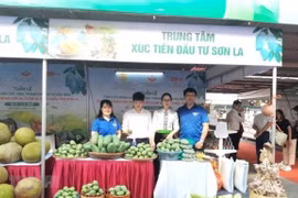 Estimulan en Hanoi consumo doméstico de productos agrícolas y frutales