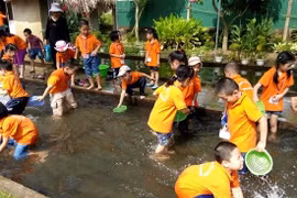 Hanoi por incentivar el ecoturismo agrícola 