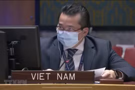 Vietnam expresa preocupaciones sobre espiral de violencia en la República Democrática del Congo