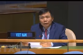 Vietnam apoya ampliación del Consejo de Seguridad de la ONU