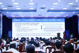 Provincia vietnamita de Ca Mau busca optimizar acuerdos comerciales con la UE