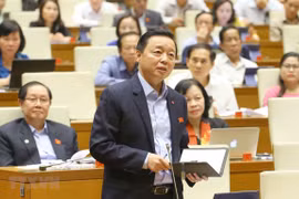 Concluye Parlamento de Vietnam cuarta jornada presencial de X período de sesiones 