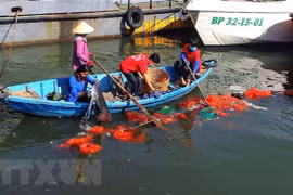 Lanzan en Vietnam concurso de videos sobre protección medioambiental