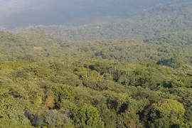 Provincia de Ninh Thuan fortalece protección y repoblación forestal