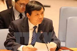 Vietnam valora cooperación para garantizar estabilidad en Grandes Lagos de África