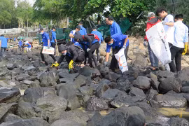 Organización ecologista mundial respalda a provincia vietnamita en mejorar el medio ambiente