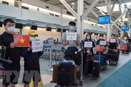 COVID-19: repatriados 313 vietnamitas de Corea del Sur