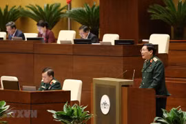 Participación al mantenimiento de la paz de ONU eleva prestigio de Vietnam, según ministro