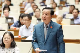 Debate Parlamento vietnamita sobre el uso de recursos hídricos en cuenca del río Mekong