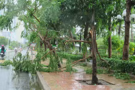 Tifón Etau deja dos muertos en la región central de Vietnam