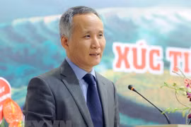 Vietnam contribuye a la cooperación entre la ASEAN y otros socios