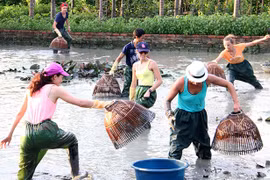 Provincia vietnamita de Quang Ninh apunta a desarrollar el turismo comunitario