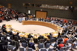 Alaban aportes de Vietnam a labores de Consejo de Seguridad