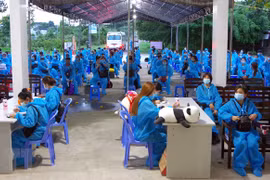 COVID-19: Vietnam suma 33 jornadas sin infección comunitaria