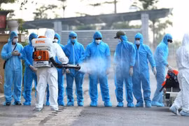 Establecen Día Internacional de Preparación contra Epidemias a propuesta de Vietnam
