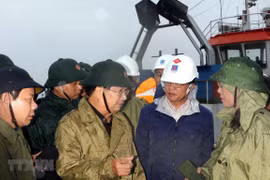 Vicepremier vietnamita: proteger la vida y propiedad de las personas es tarea apremiante 