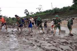 Cruz Roja de Vietnam brinda asistencia a afectados del tifón Noul