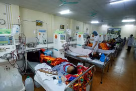 Vietnam y Estados Unidos intercambian experiencias sobre tratamiento de enfermedad renal crónica