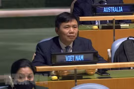 Vietnam llama a fortalecer el diálogo para solución política a crisis en Siria